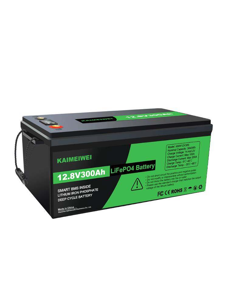 Camiyei 24V truck dedicated iron phosphate battery 12V large -capacity RV parking air conditioner starts the battery