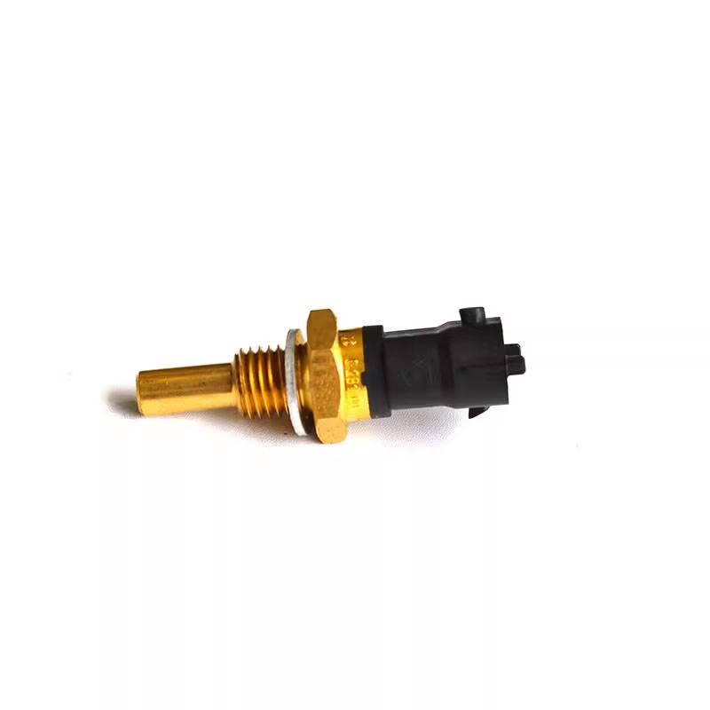 Water temperature sensor 0281002209 Water temperature sensor congestion alarm temperature coolant sensor diesel EFI