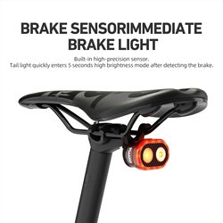 Seatpost and Saddle