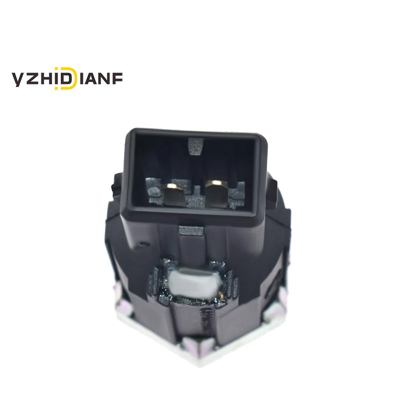 Auto Engine Ignition Knock Sensor 7700732262 7700866055 8200680689 8200639103 For Nissan Reunalt Dacia Opel