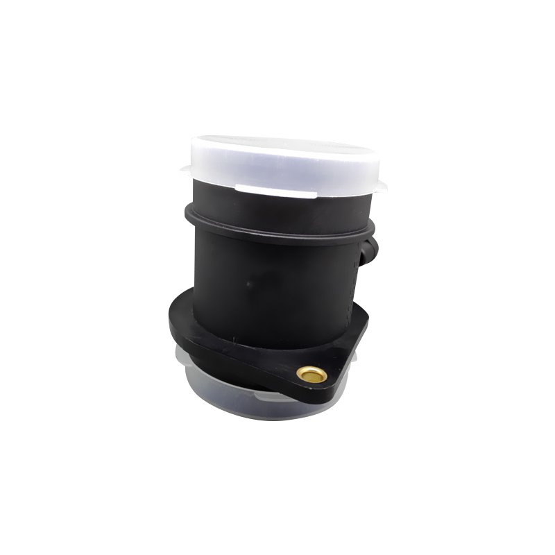 Hot Sales Air Flow Sensor MFS05-1-037 0280213037