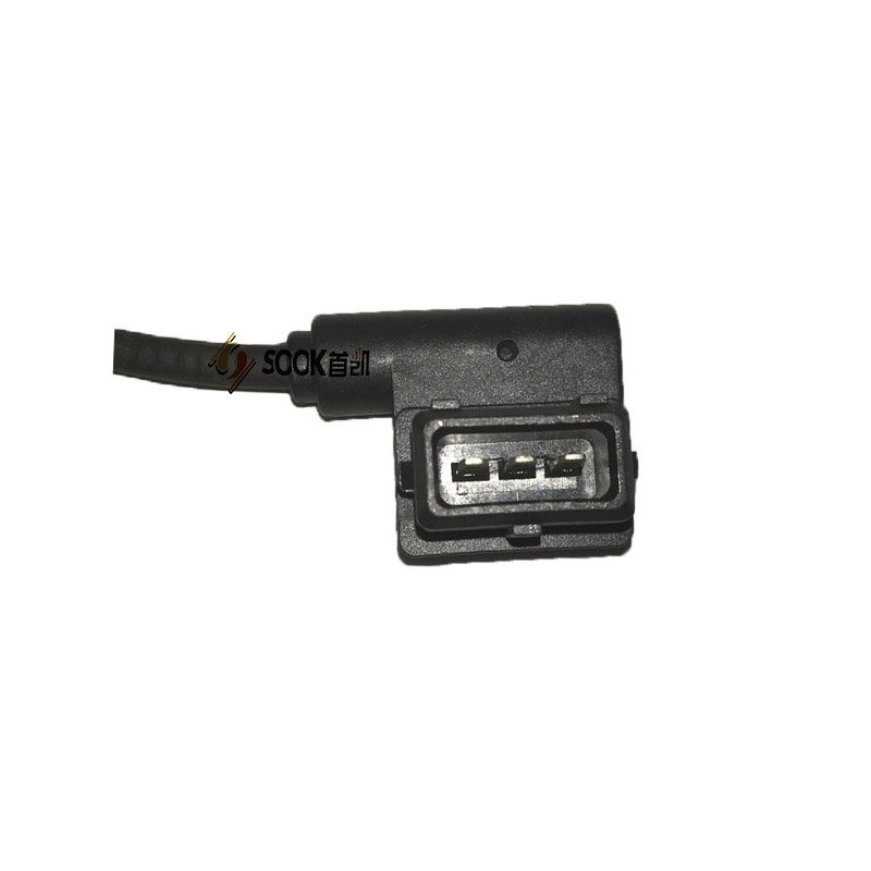 Camshaft CAM Position Sensor OE 12141729291 Automotive Sensor