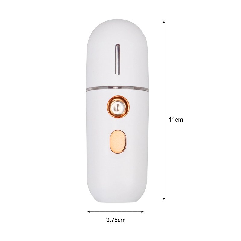 Multi-function Nano portable facial moisturizing electric mist sprayer nano mist spray