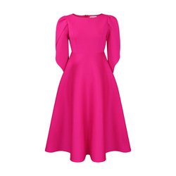 Fuchsia