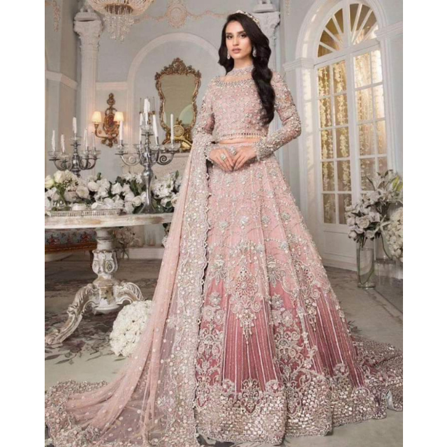 Punjabi Designer Party Dresses Indian Pakistani Formal Dresses with Handwork Embroidered New Article All Sizes Available