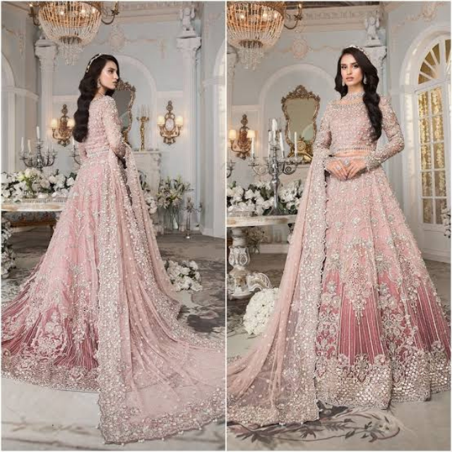 Punjabi Designer Party Dresses Indian Pakistani Formal Dresses with Handwork Embroidered New Article All Sizes Available