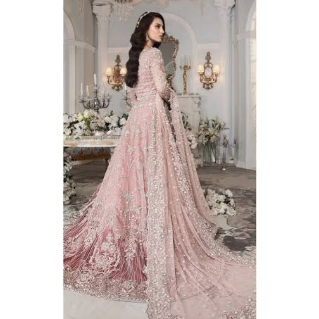 Punjabi Designer Party Dresses Indian Pakistani Formal Dresses with Handwork Embroidered New Article All Sizes Available