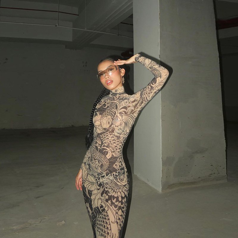 2024 Wholesale summer sexy dress casual elegan Mesh print see through long dresses women