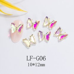 G06