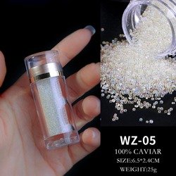 WZ05