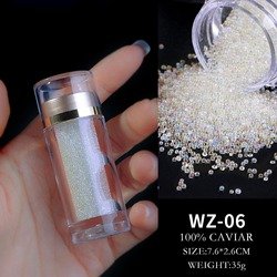 WZ06