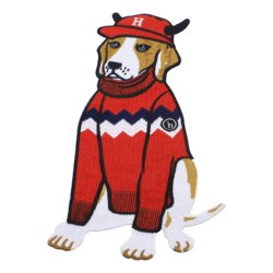 Patches