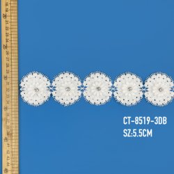ct-8519