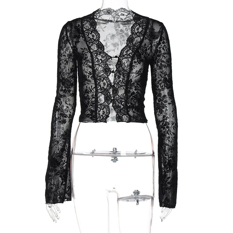 Channel Y2K Girl Sexy V Neck Lace Trim Long Sleeve Sheer Mesh Leopard Print Blouses And Tops For Women 2024