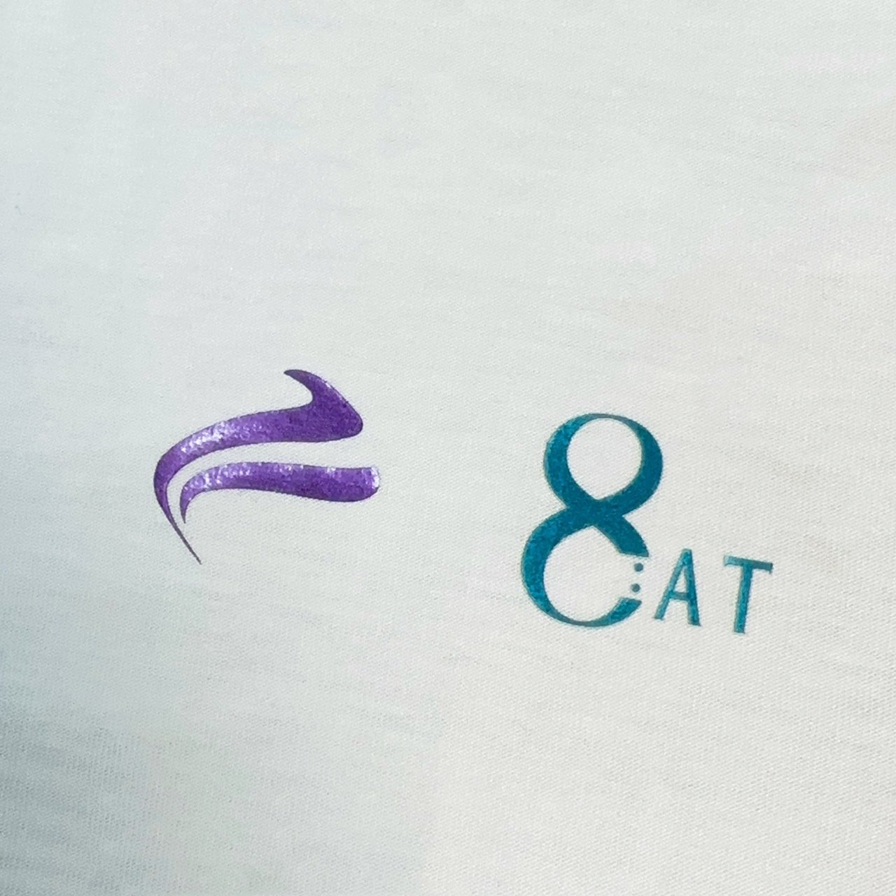 Chameleon LOGO Label Heat Transfer Label Garment Trims