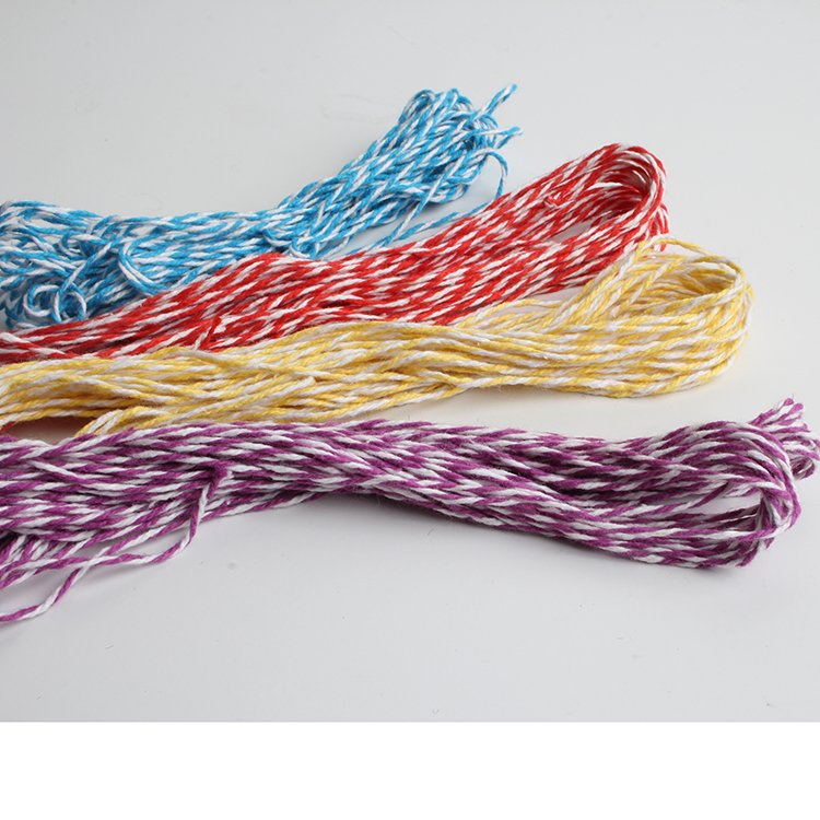 Polyester Glitter Cords 20 Colors Available Shoes Bags Garments Home Textiles Macrame Flat Braided Metal Drawstring Rope Braided