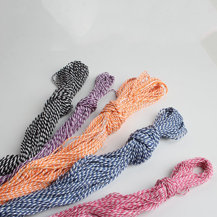 Polyester Glitter Cords 20 Colors Available Shoes Bags Garments Home Textiles Macrame Flat Braided Metal Drawstring Rope Braided