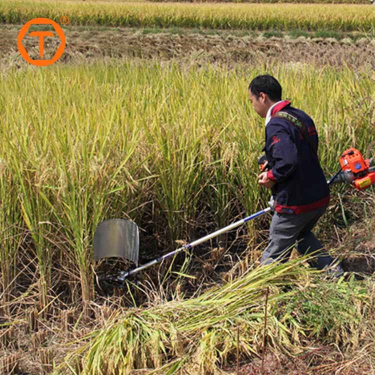 Professional Brushcutter Grass Machine Single Cylinder Power String Trimmers 2-stroke 52cc Weed Wacker Gasoline Brush Cutter