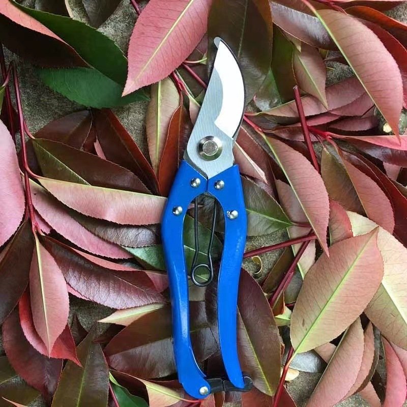 C1 Ratchet Plant Trim Horticulture Hand Shear Orchard Pruning Pruner Cut Secateur Shrub Garden Scissor Tool