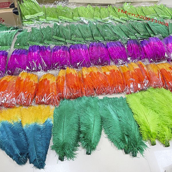 Hot sale Bleached dyed colorful Rooster tail feather fringe trim for carnival dresses accessories decoration