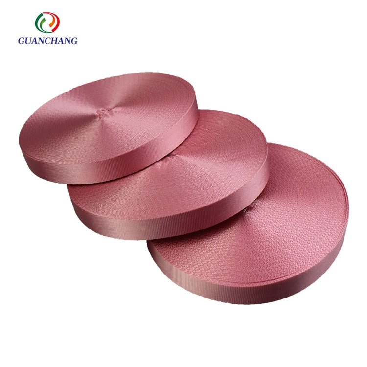Sling Webbing Strap Colored Trims Webinterior Lampastic Binding Tape Nylon Used for Ratchet Roof Light Custom 10mm 1PC 9W 12vity