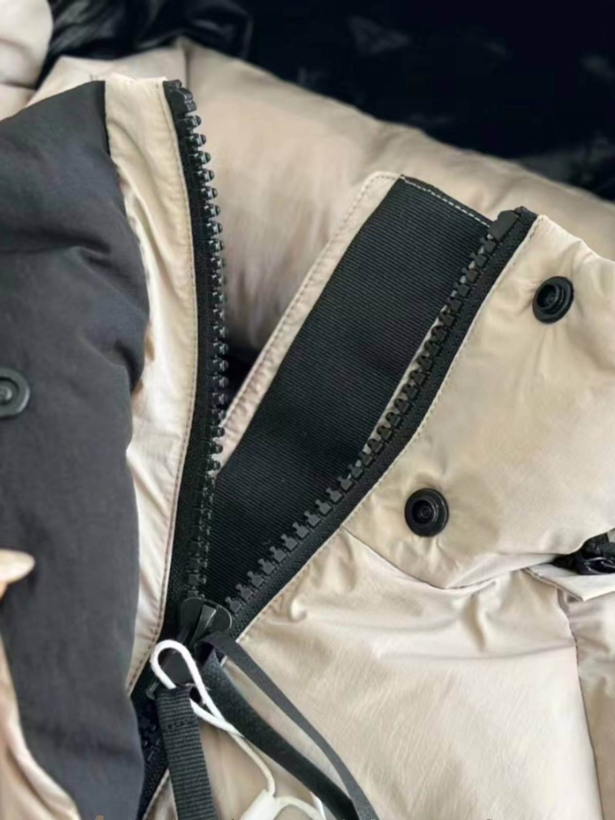 Simple three defense conventional vertical stand -up collar white goose down jacket