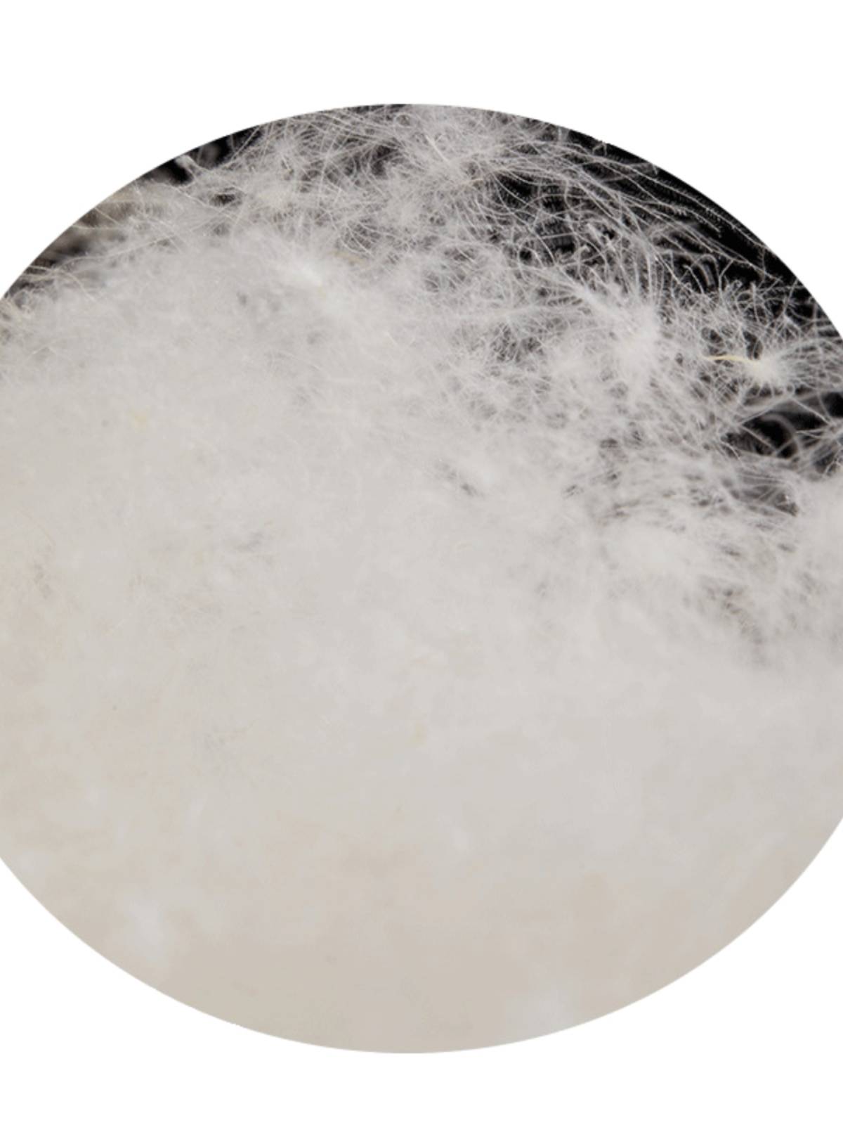 New national standard 90 white duck down big bulk bulk down down jacket down jacket down is filled with a pound
