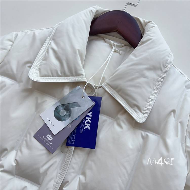 2023 Autumn and winter short down jackets Simple and versatile commute lapel can be traced back to 90 white duck down light loose jacket