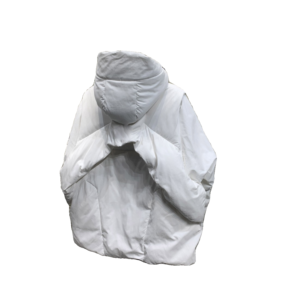 Co -branded down vest type two -piece disassembly sleeve fluffy 90 white duck velvet faction overcome the capsule series down jacket