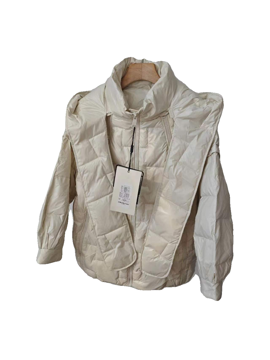 Leisure can be disassembled down jacket