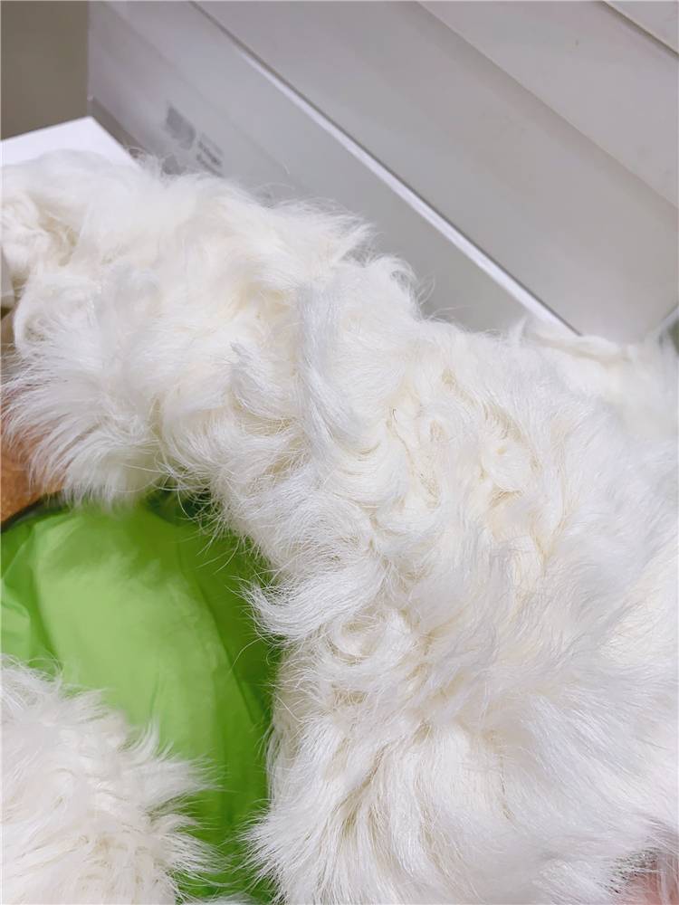 Penny Korean version of real hair collar down jacket
