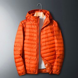 Orange2
