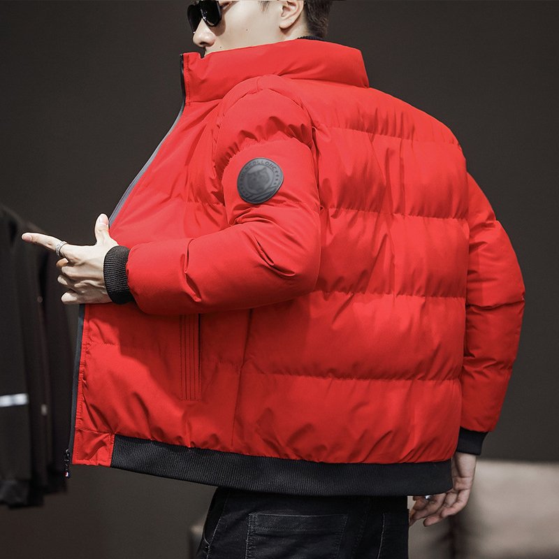 OEM Custom Down Jackets Puffer Jacket Winter Men's North Coat Stand Collar Face Outdoor Ultralight New Design Articles