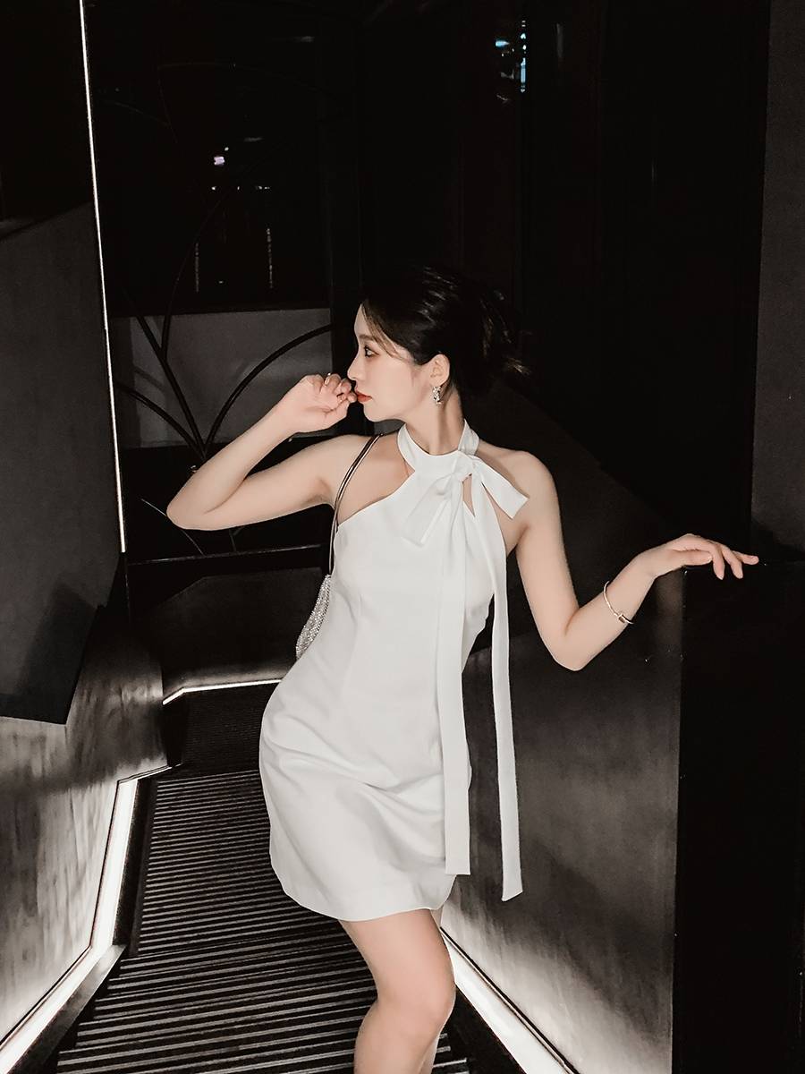 Skirt temperament high -end night dress lady label