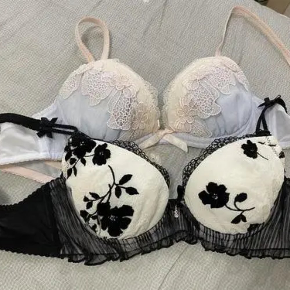 Factory Clearance Sale for Second-Hand Ladies Sexy Lace Bra Used Clothes Affordable price