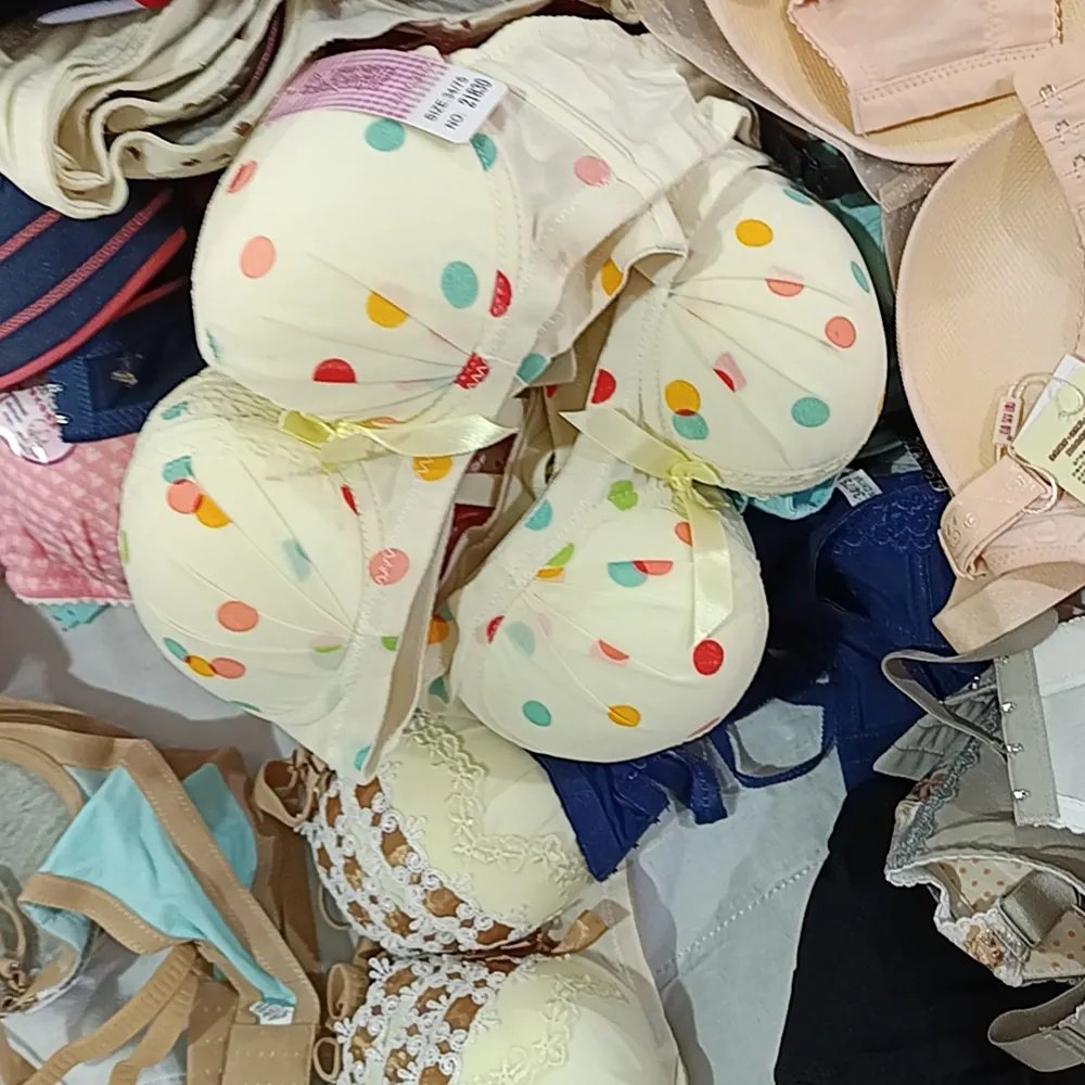 Factory Wholesale Excellent Quality Second-Hand Ladies' Bra Fast Delivery Grade Bulk Clothing in Bales Packaging