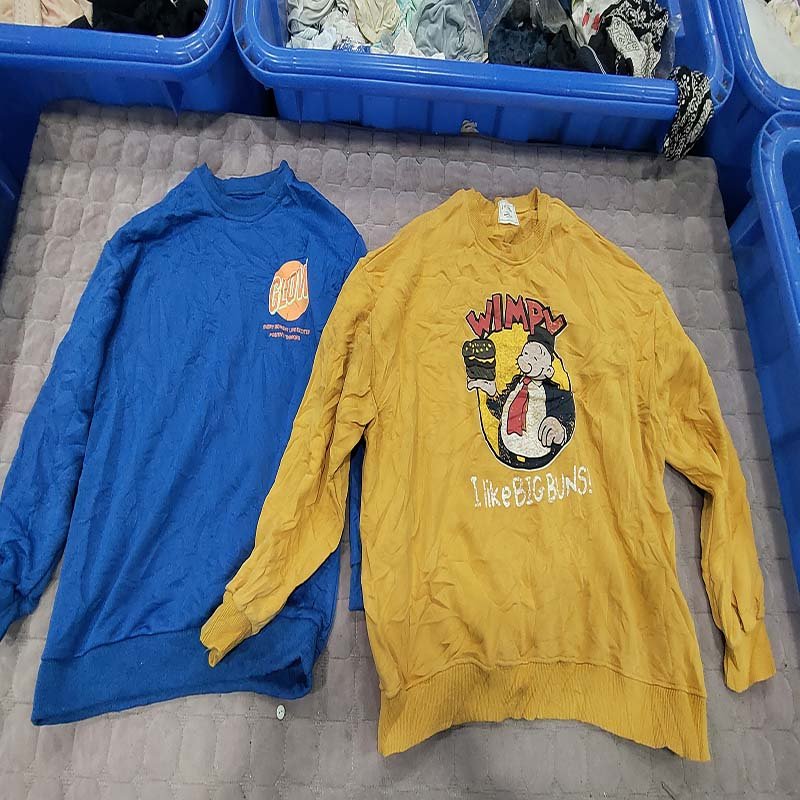 round neck sweater Wholesale High-Quality Cotton Round Neck Loose Basic Top Long Sleeve Simple Hoodies