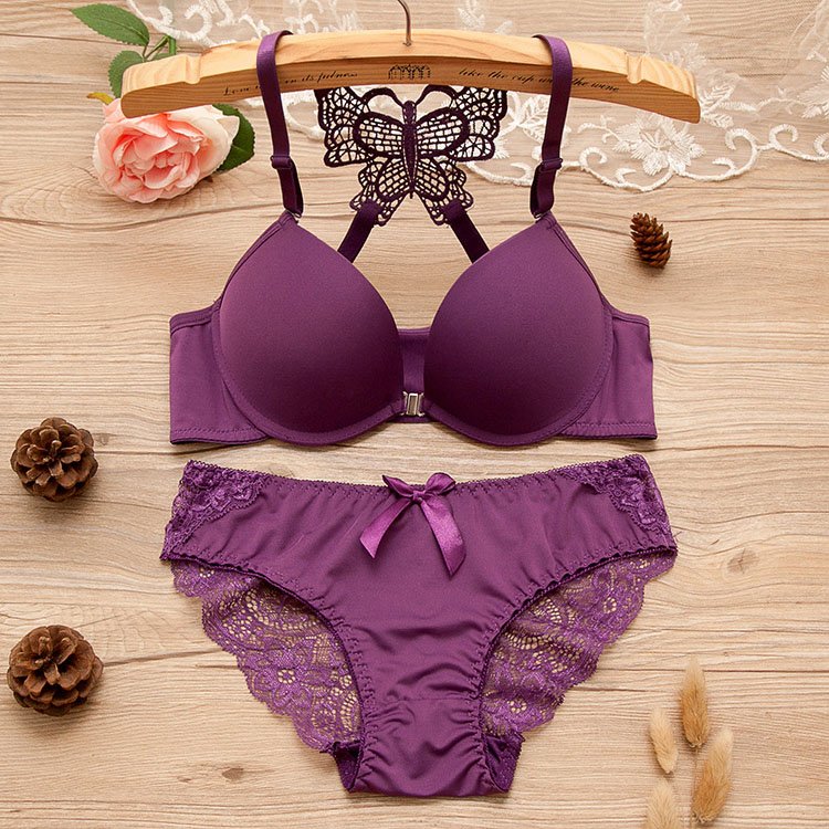 Back Front Closure Bras and Women Underwear Set Back Cross Butterfly Hot Selling Women Bra Set for Girl 4 Set Underwire in Stock