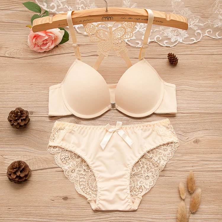Back Front Closure Bras and Women Underwear Set Back Cross Butterfly Hot Selling Women Bra Set for Girl 4 Set Underwire in Stock