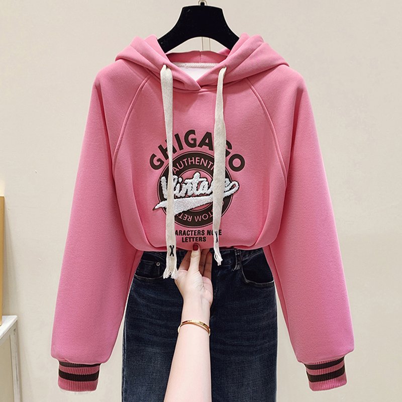 Custom plus size cropped sweatpants Chenille Embroidery puff print 100% cotton hoodies set women pullover hoodi manufacturer