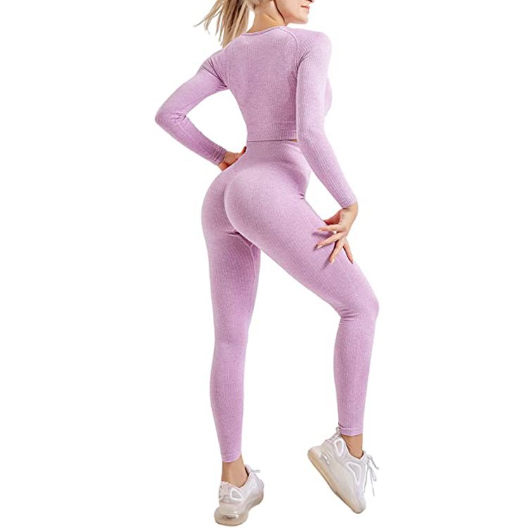 Women's 2 Piece Tracksuit Workout Outfits Seamless High Waist Leggings and Stretch Sports Bra Yoga Activewear Set