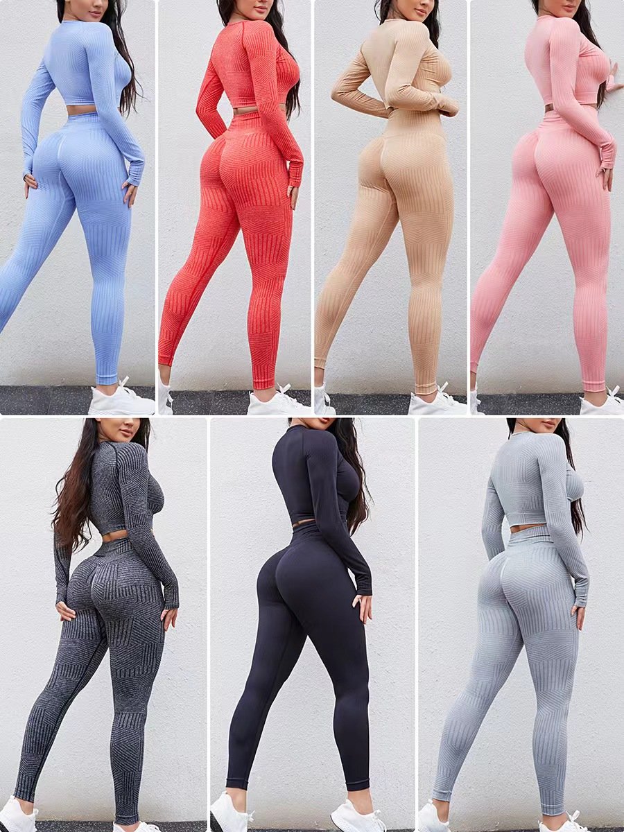 2024 New Design Gym Fitness Sets Seamless Four-way Stretch Gym Set Women Fashion Workout Women's sets