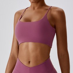 bra2DP