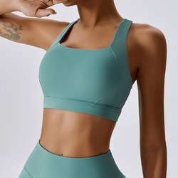 BRA-2