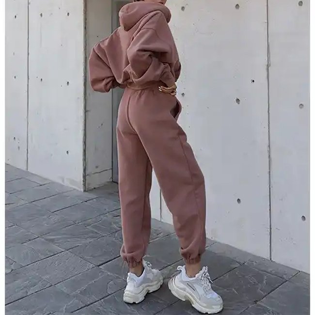Women's clothing sets 2023 jogger jumpers gym custom 2 piece set women organic cotton oversize crop top hoodie and joggers set