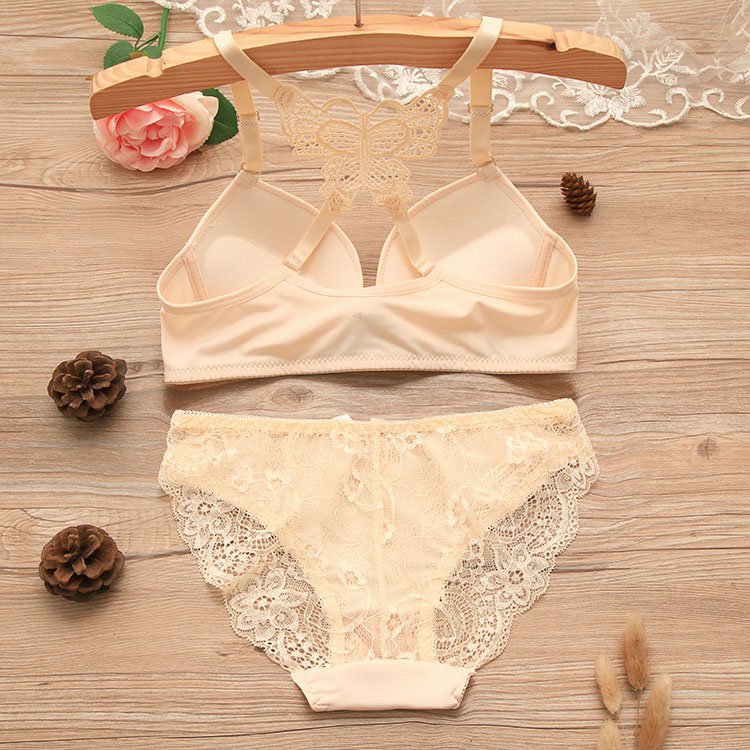 Back Front Closure Bras And Women Underwear Set Back Cross Butterfly Hot Selling Women Bra Set 4 Set 4 Color As Pictures Hipster