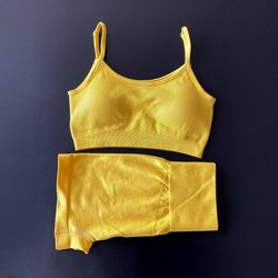 Fitness Clothing Woman 2023 Seamless Short Yoga Gym Activewear Set 2 Piece Short Gym Fitness Sets for Women