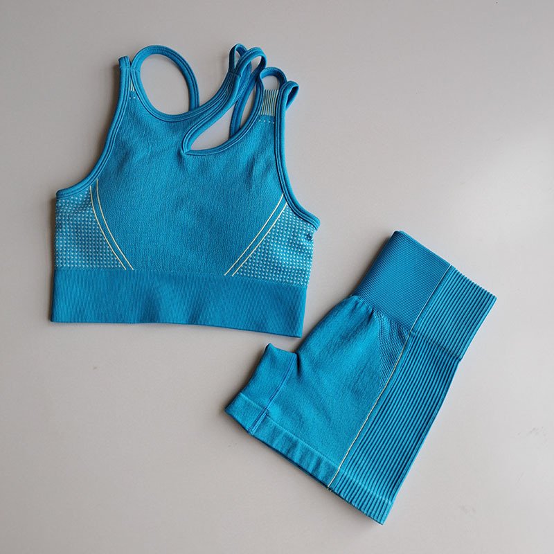 Wholesale Yoga Shorts Set Breathable Gym Shorts Set Women Seamless Workout Suit Sport Bra and Shorts Yoga Set