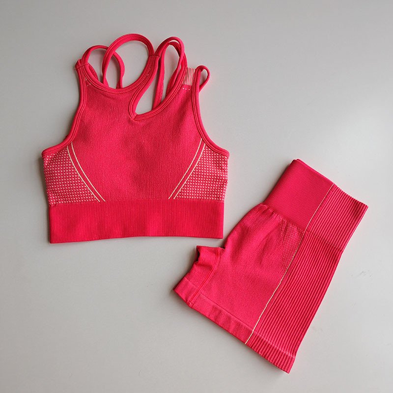 Wholesale Yoga Shorts Set Breathable Gym Shorts Set Women Seamless Workout Suit Sport Bra and Shorts Yoga Set