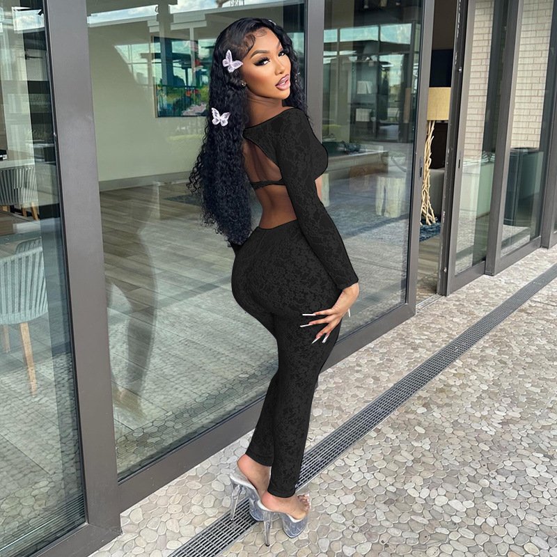 2024 Fall Lace Women Sets 2 Piece Sexy Long Sleeve Crop Top Tight High Waist Skinny Pants Solid Perspective Club Two Piece Set